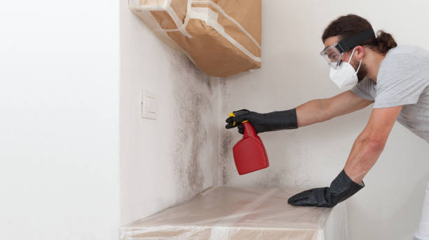 Professional Bathroom Mold Removal technician working in Line Lexington, PA