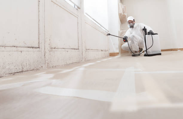 24/7 Emergency Bathroom Mold Removal experts in Line Lexington, PA