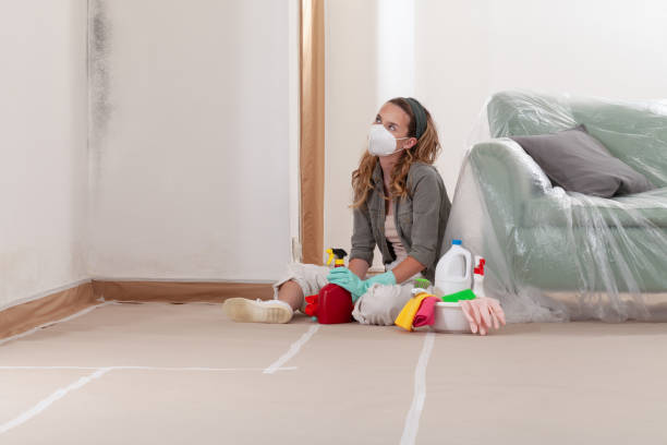 Reliable Bathroom Mold Removal contractor in Line Lexington, PA by WQB Mold Removal